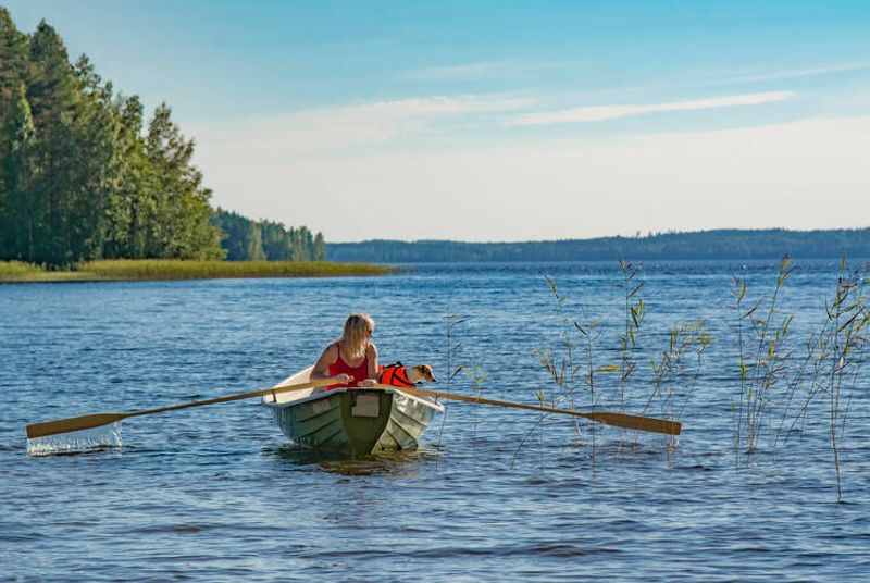Nainen soutelemassa kesäisellä järvellä, soutuveneen kyydissä myös koira.